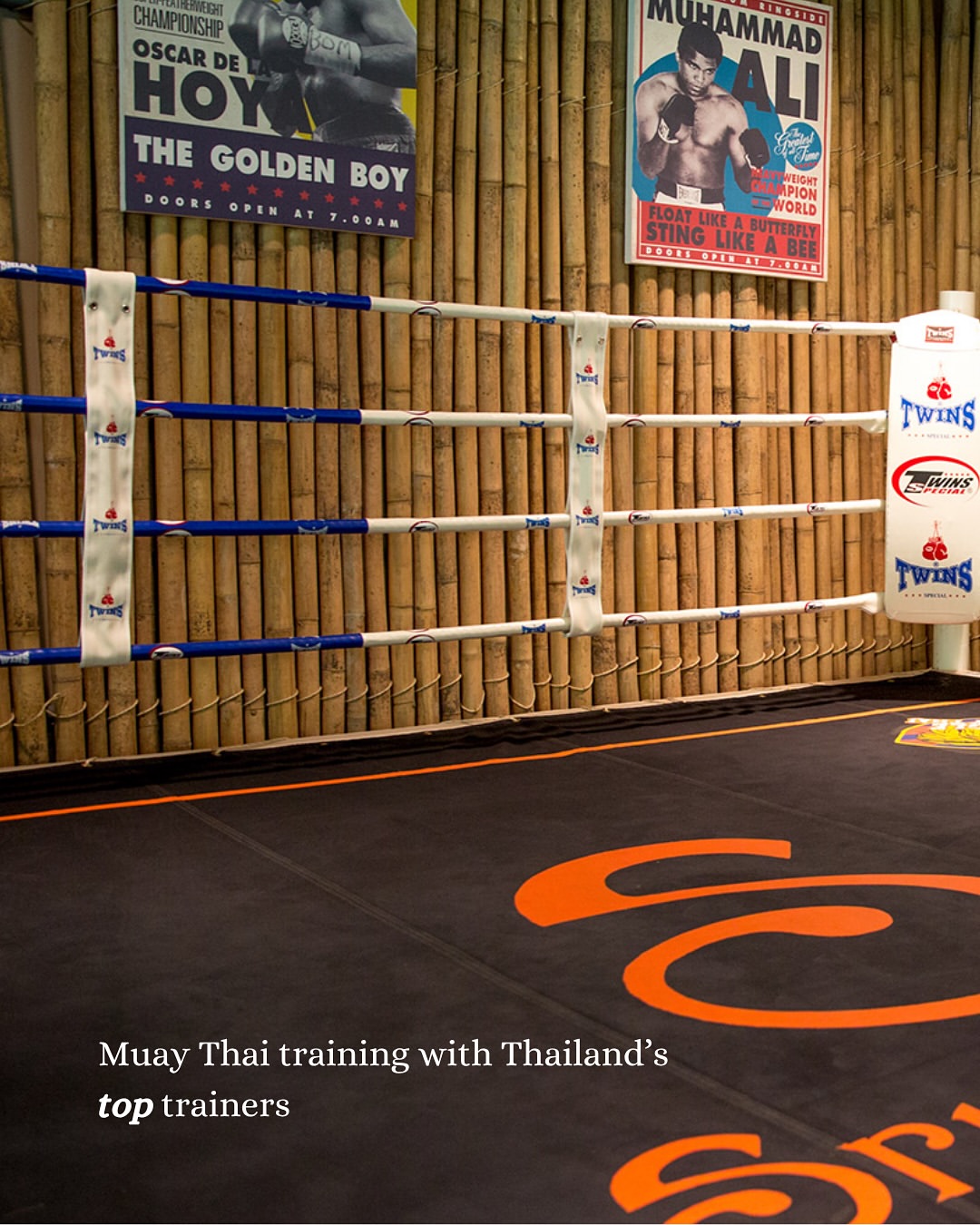 Wellness Club Slide 9